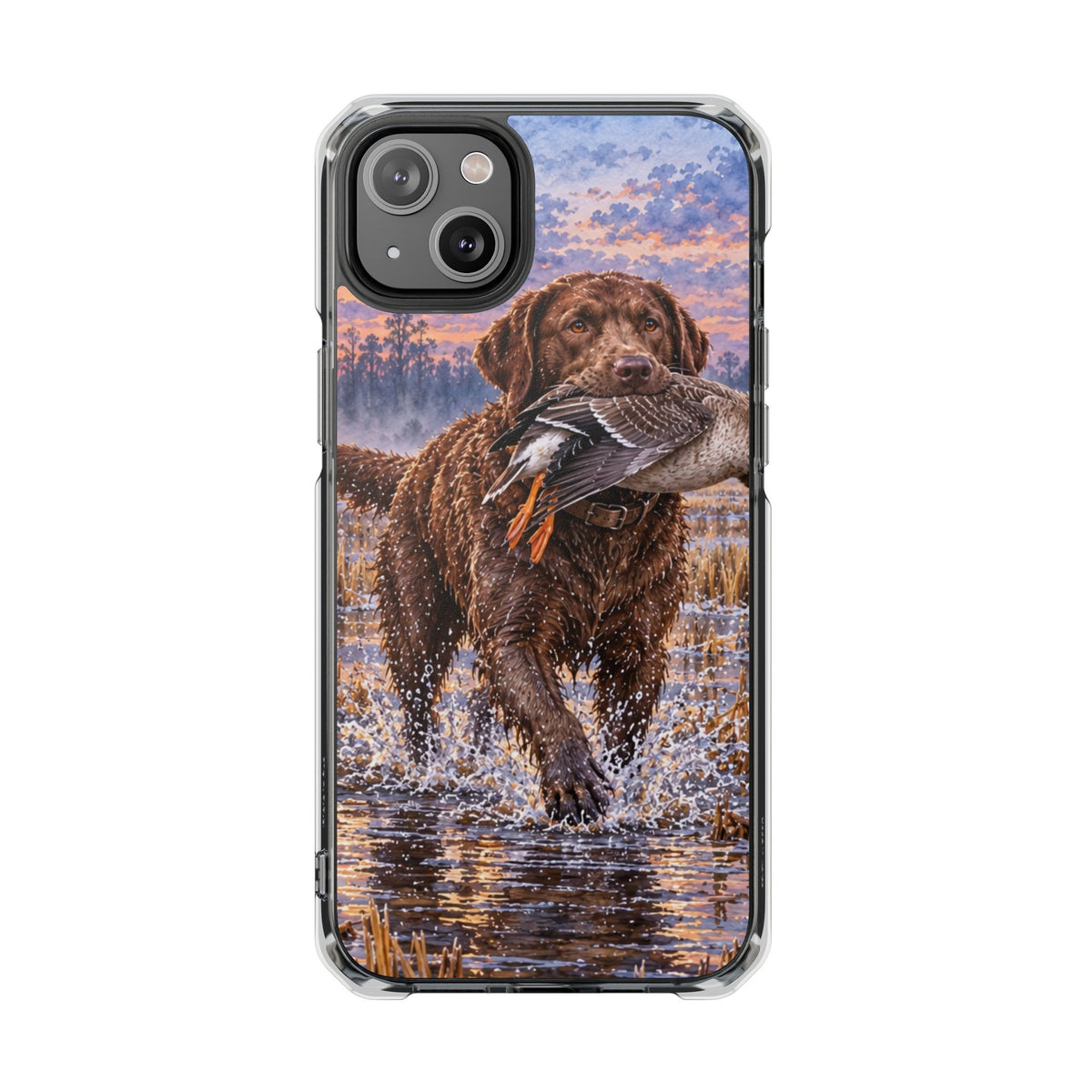 Clear Magnetic Phone Case — Chocolate Lab with Duck in swamp