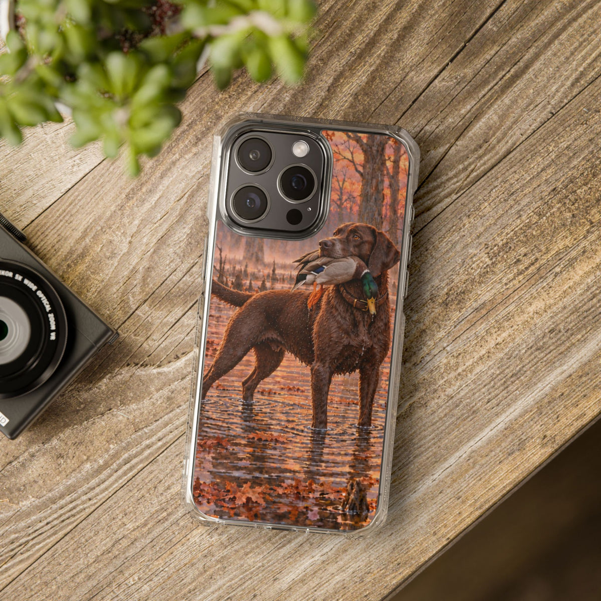 Clear Magnetic Phone Case — Chocolate Lab with Duck swamp
