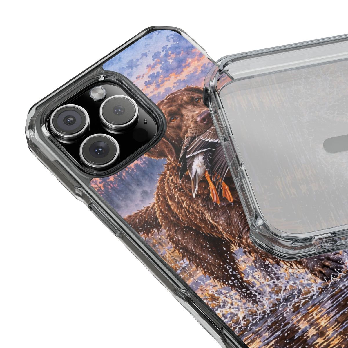 Clear Magnetic Phone Case — Chocolate Lab with Duck in swamp