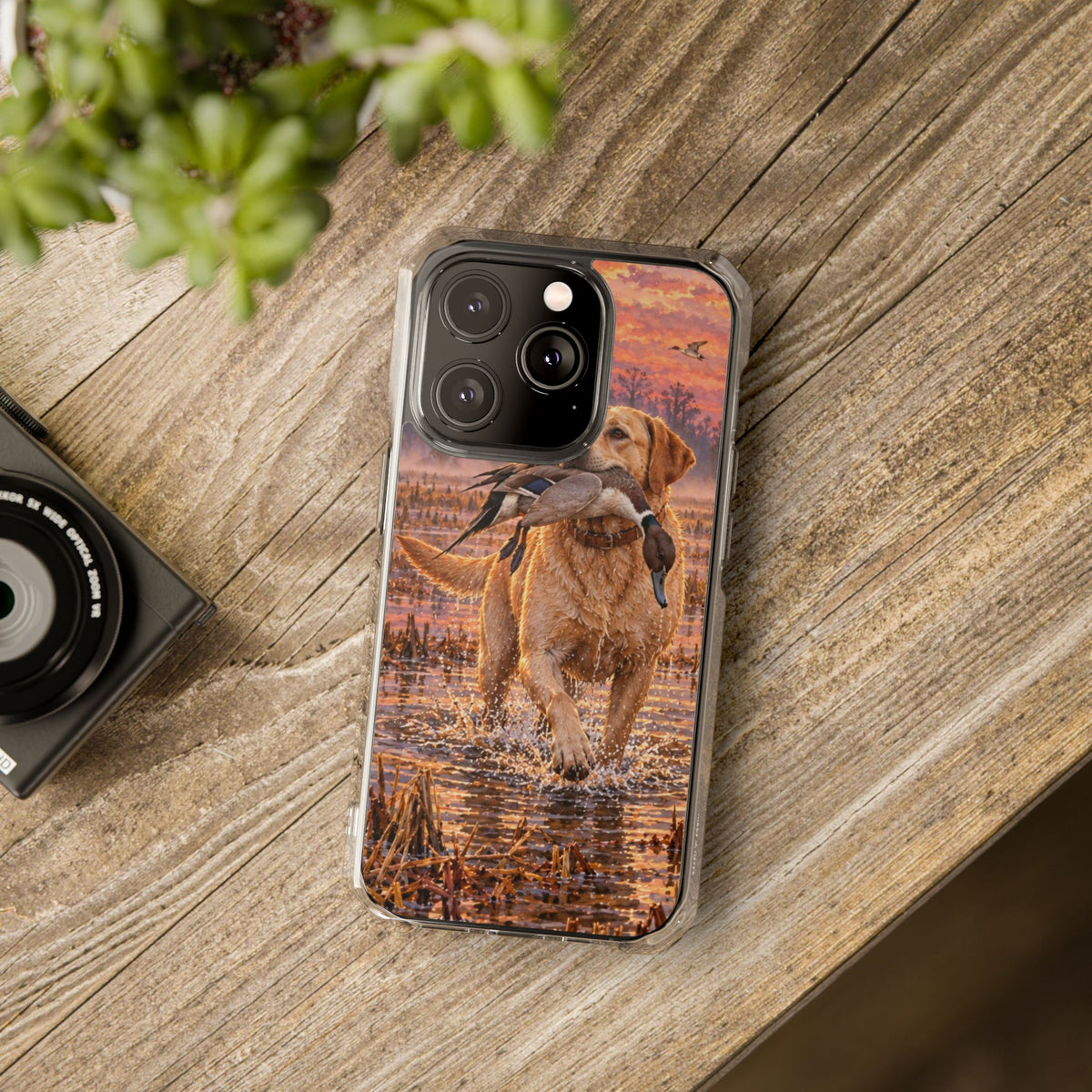Clear Magnetic Phone Case — Lab in swamp with duck