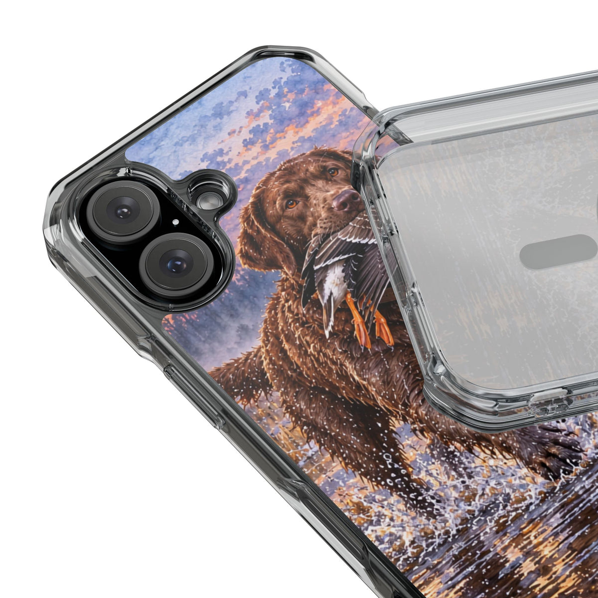 Clear Magnetic Phone Case — Chocolate Lab with Duck in swamp
