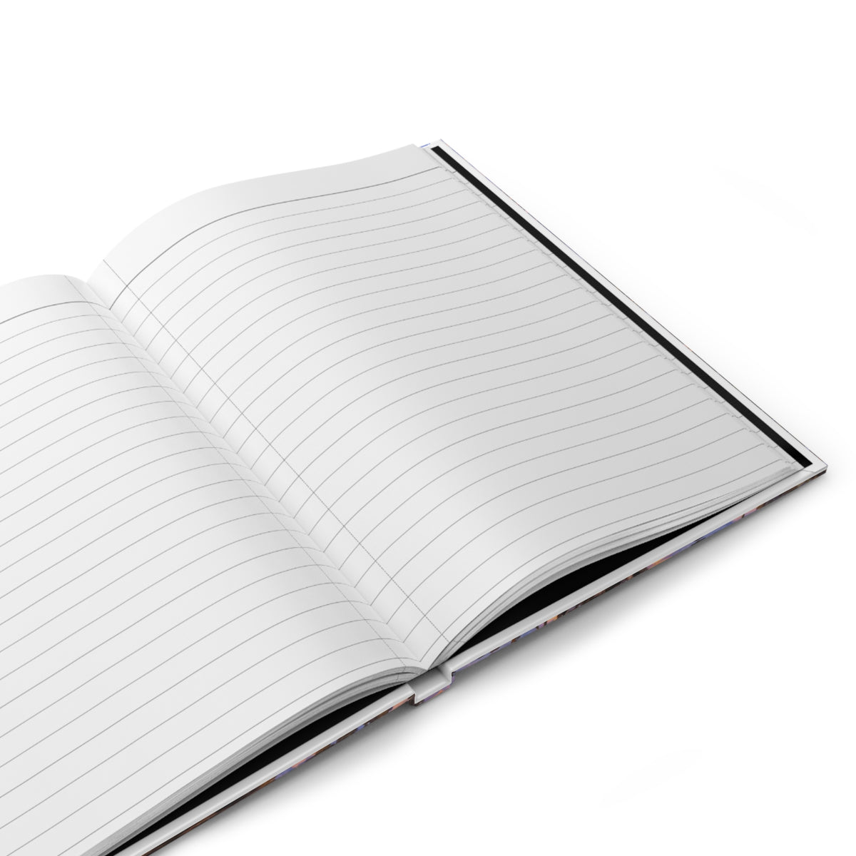 Boykin Spaniel Journal — Autumn Swamp Sunset Hardcover Notebook