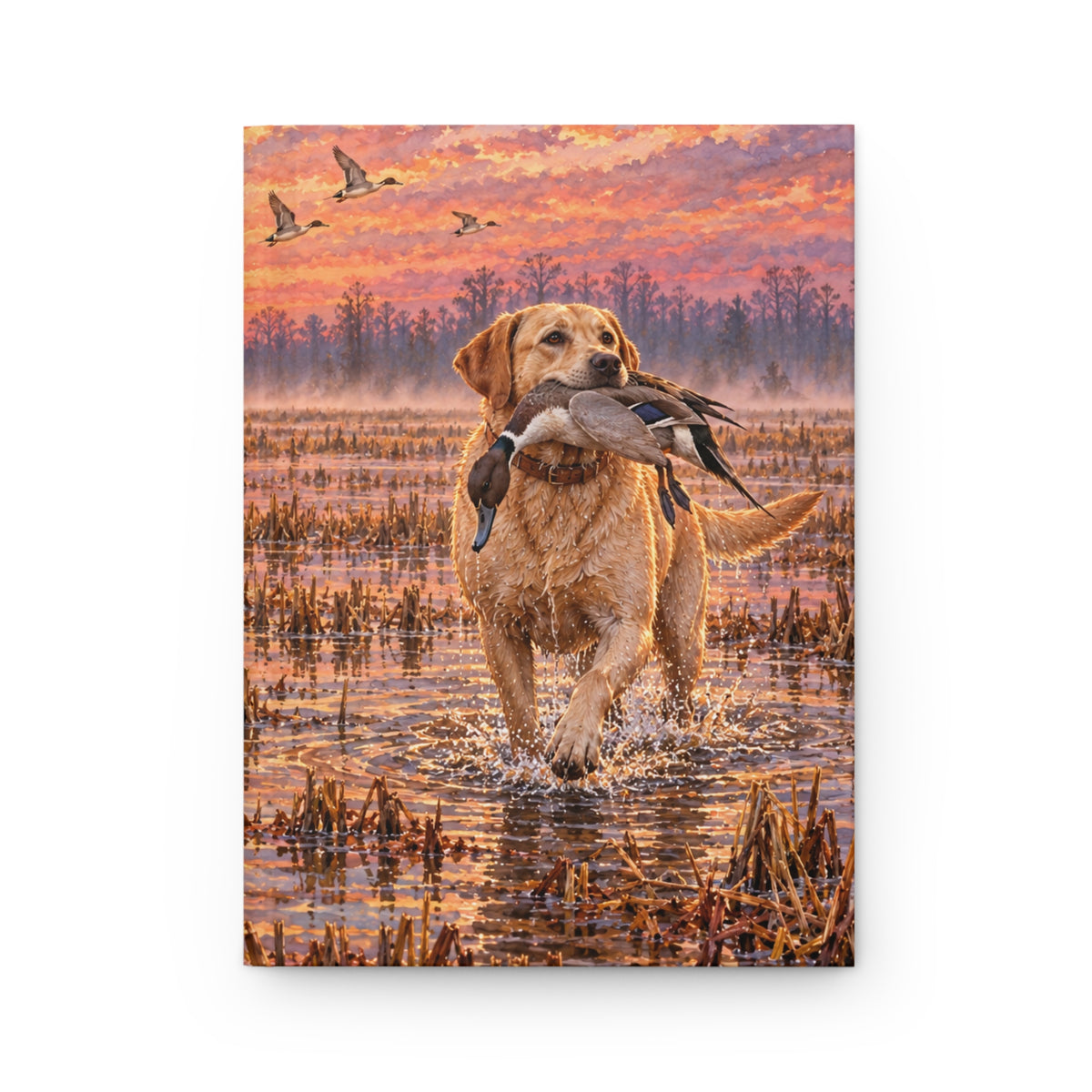 Labrador Journal — Autumn Swamp Sunset Hardcover Lined Notebook