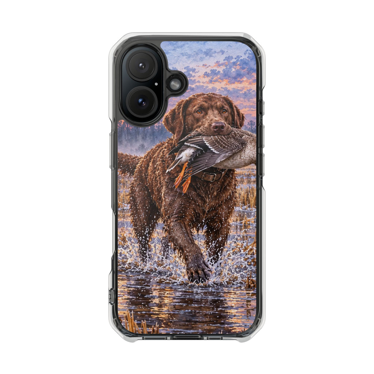 Clear Magnetic Phone Case — Chocolate Lab with Duck in swamp