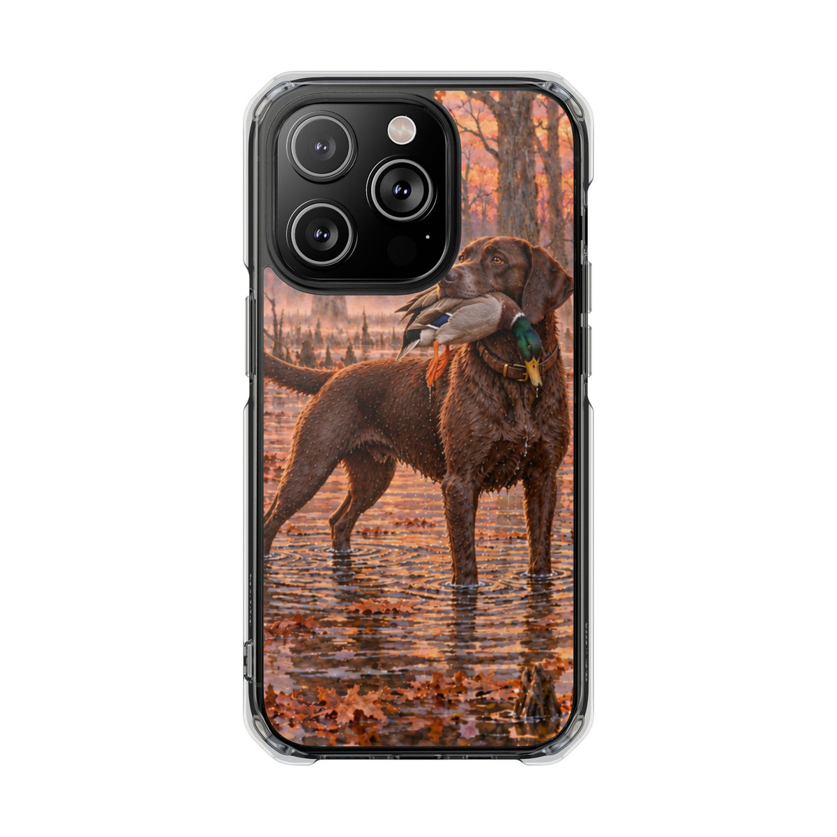 Clear Magnetic Phone Case — Chocolate Lab with Duck swamp