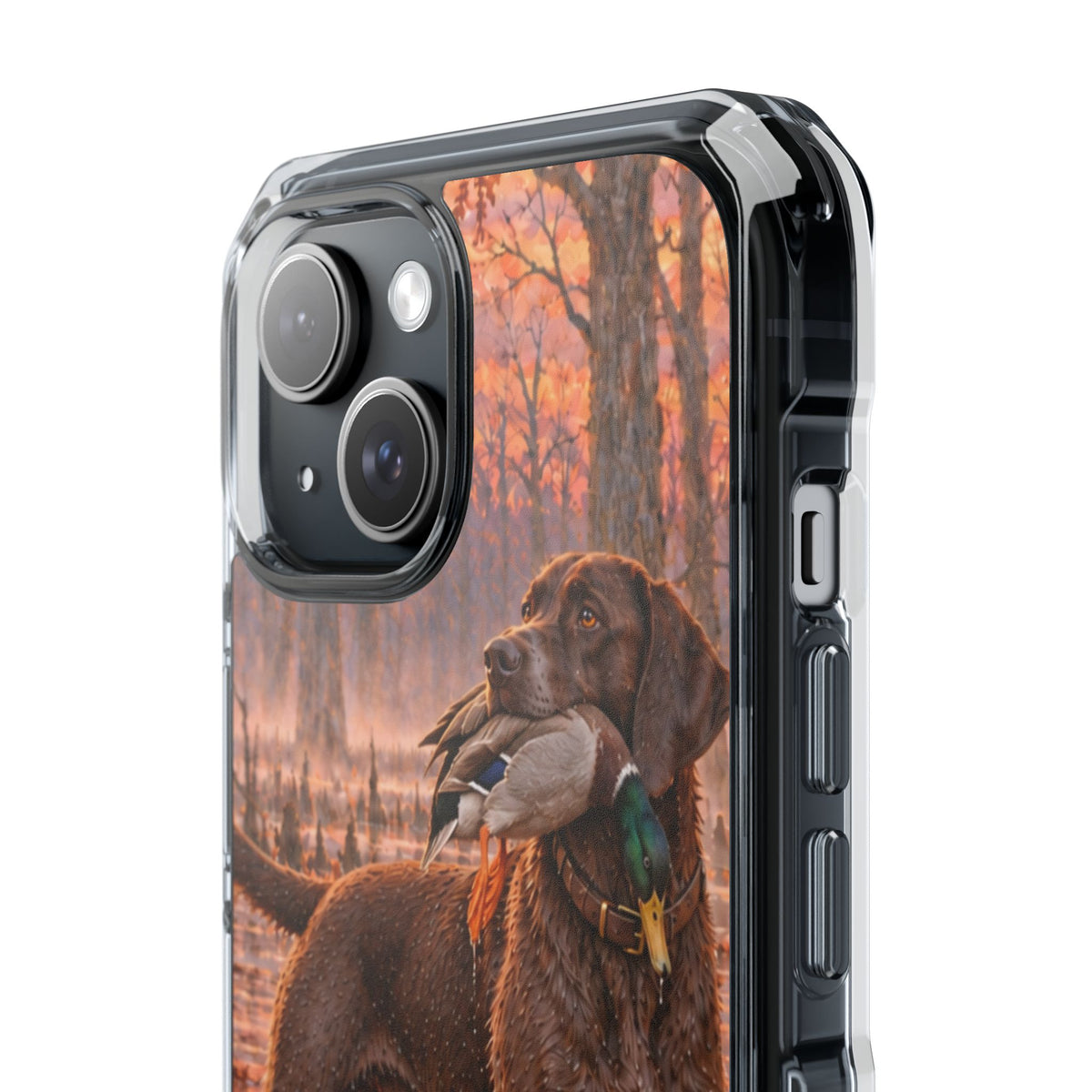 Clear Magnetic Phone Case — Chocolate Lab with Duck swamp