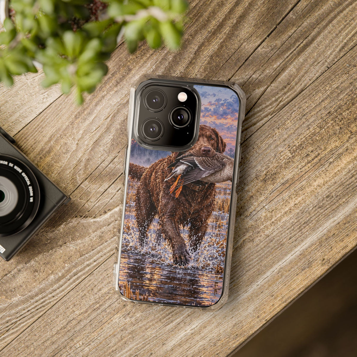 Clear Magnetic Phone Case — Chocolate Lab with Duck in swamp