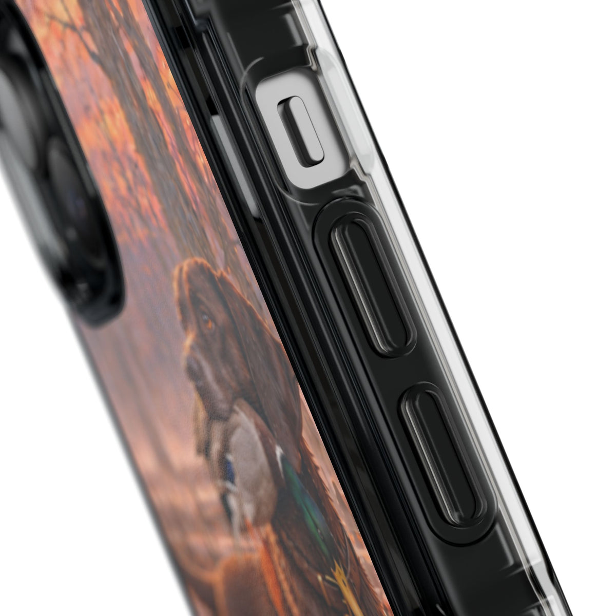 Clear Magnetic Phone Case — Chocolate Lab with Duck swamp