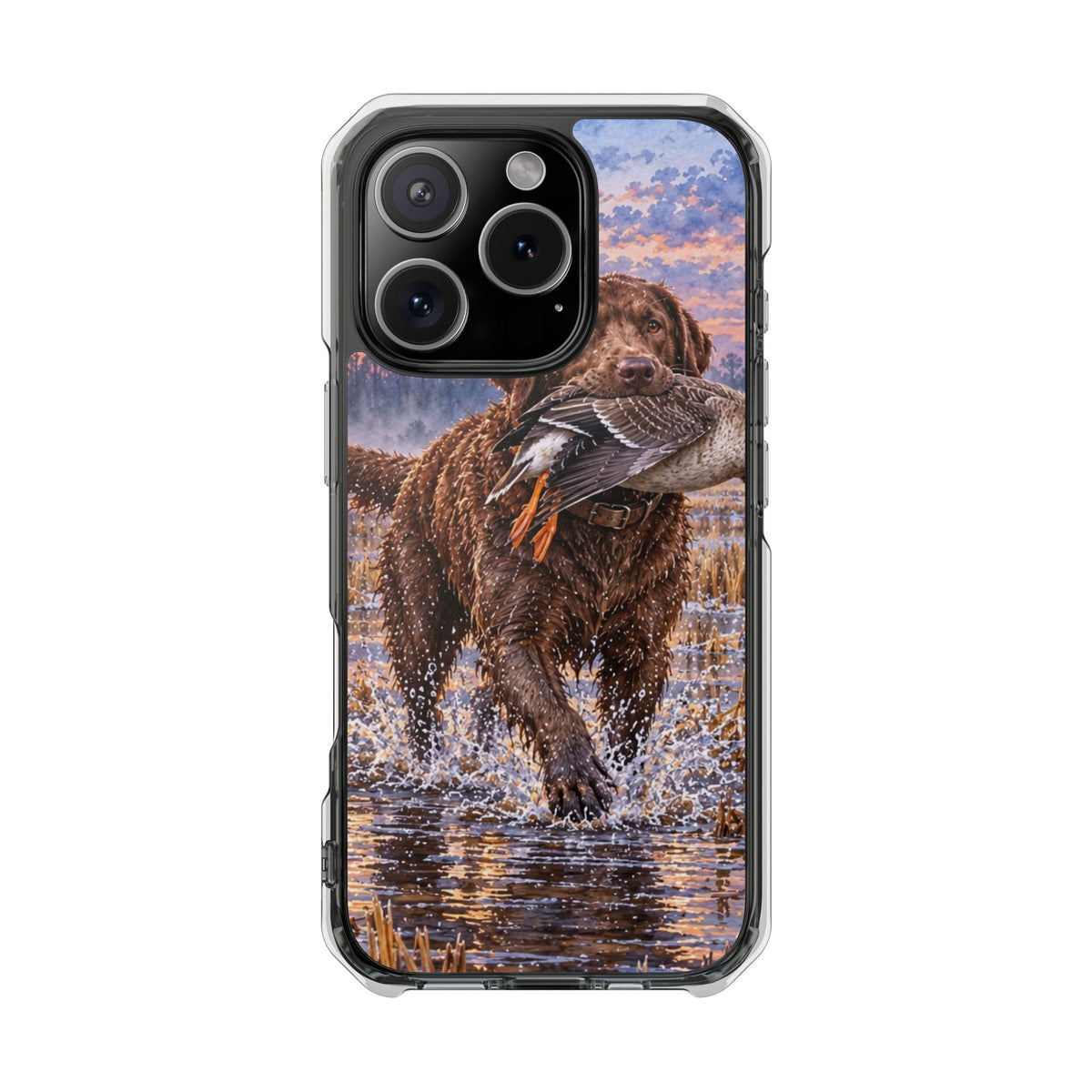 Clear Magnetic Phone Case — Chocolate Lab with Duck in swamp