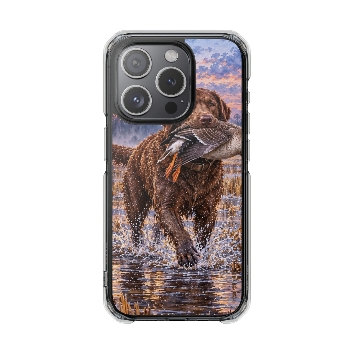 Clear Magnetic Phone Case — Chocolate Lab with Duck in swamp