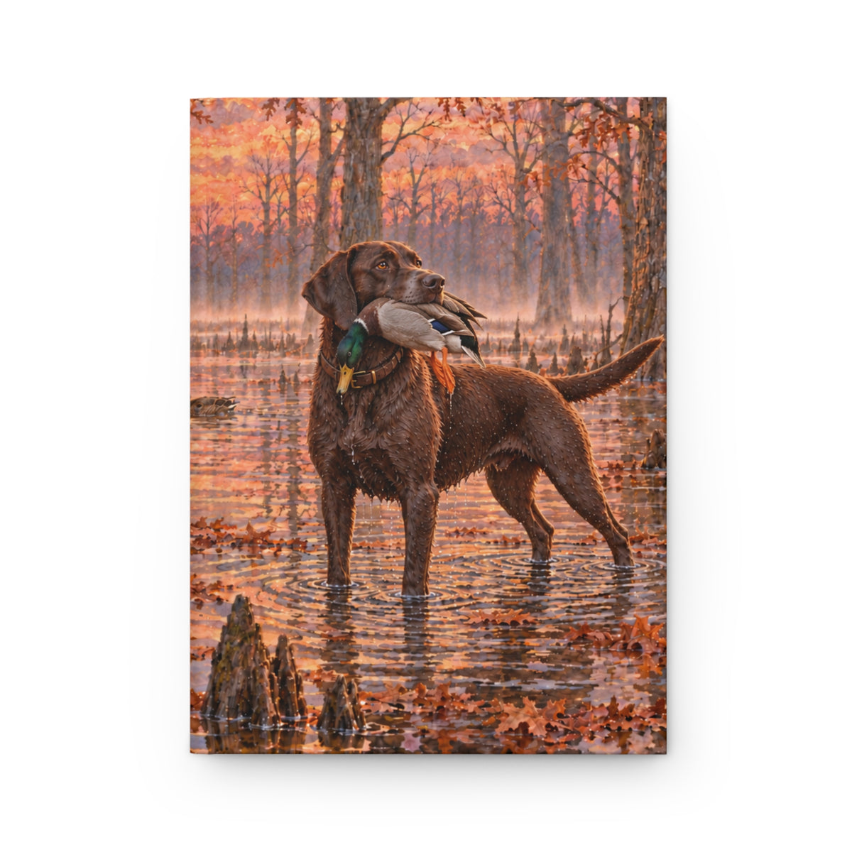 Labrador Journal — Autumn Swamp Sunset Hardcover Notebook
