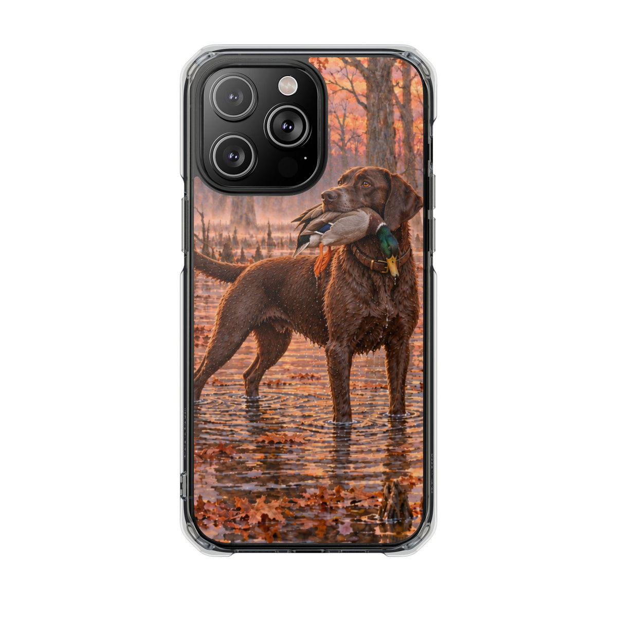 Clear Magnetic Phone Case — Chocolate Lab with Duck swamp