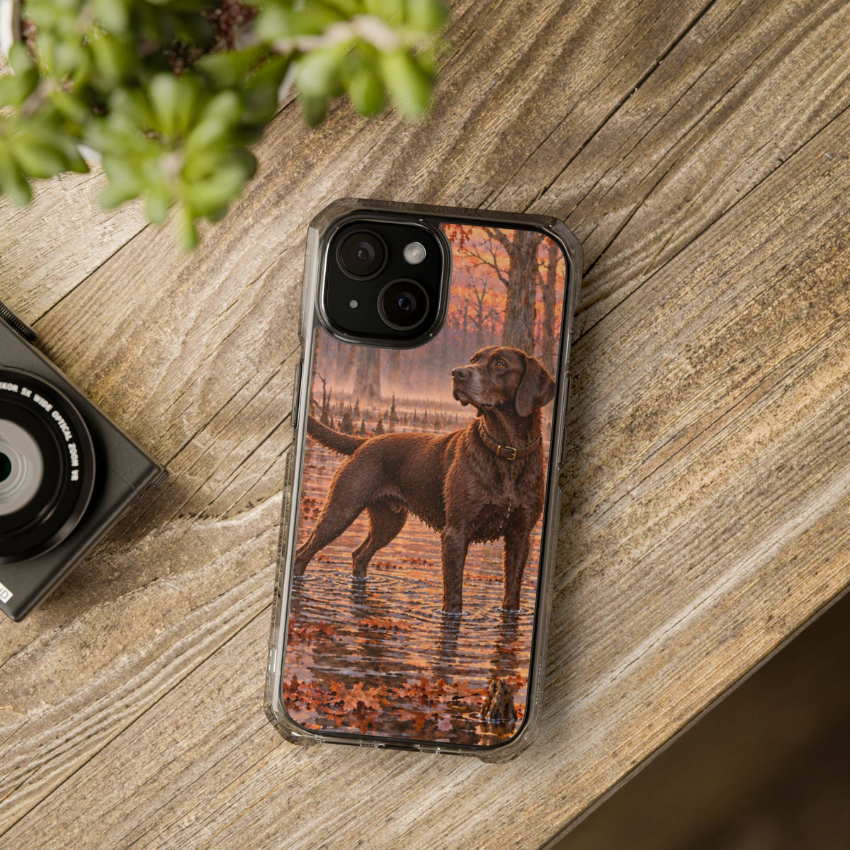 Clear Magnetic Phone Case — Swamp Chocolate Lab