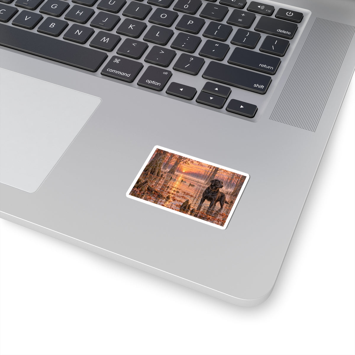 Black Lab in Cypress Swamp Sticker — Sunset Hunting Dog Kiss-Cut Decal