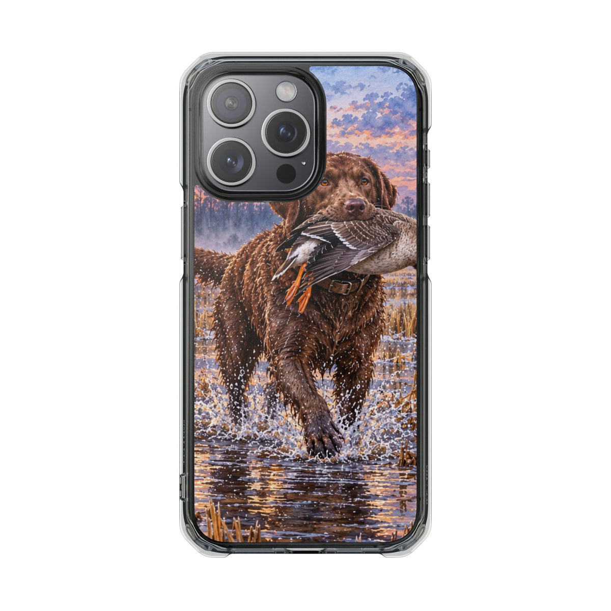 Clear Magnetic Phone Case — Chocolate Lab with Duck in swamp