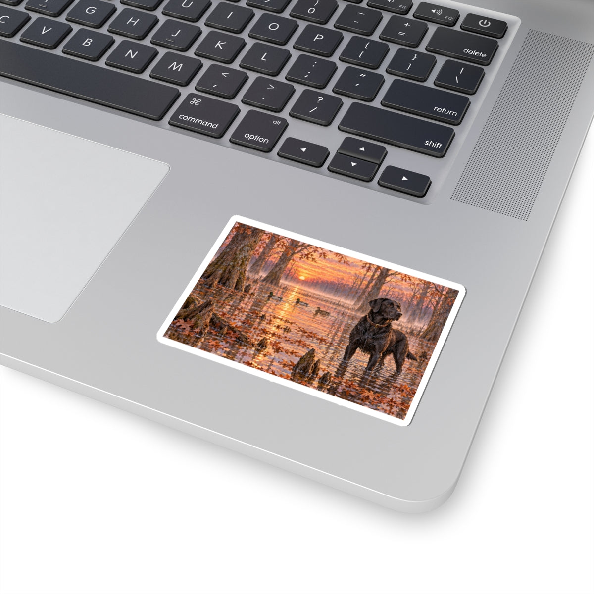 Black Lab in Cypress Swamp Sticker — Sunset Hunting Dog Kiss-Cut Decal