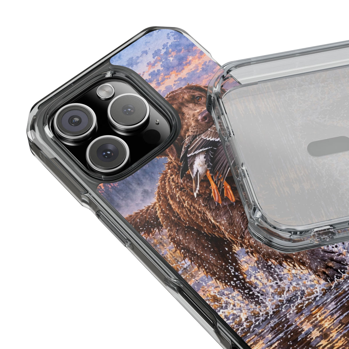 Clear Magnetic Phone Case — Chocolate Lab with Duck in swamp