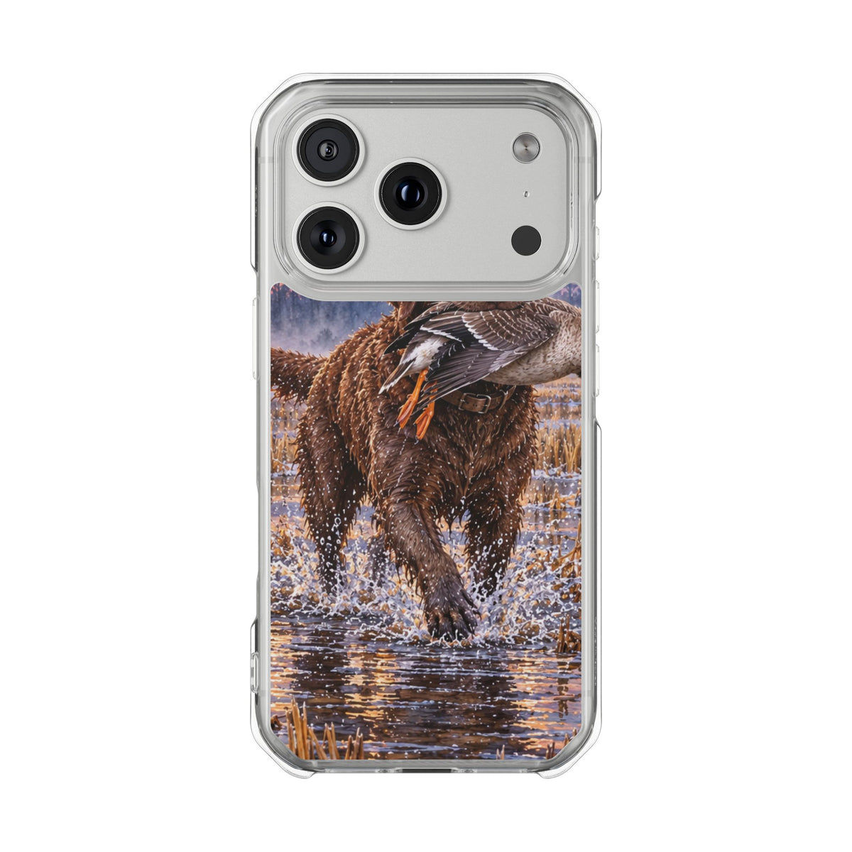 Clear Magnetic Phone Case — Chocolate Lab with Duck in swamp