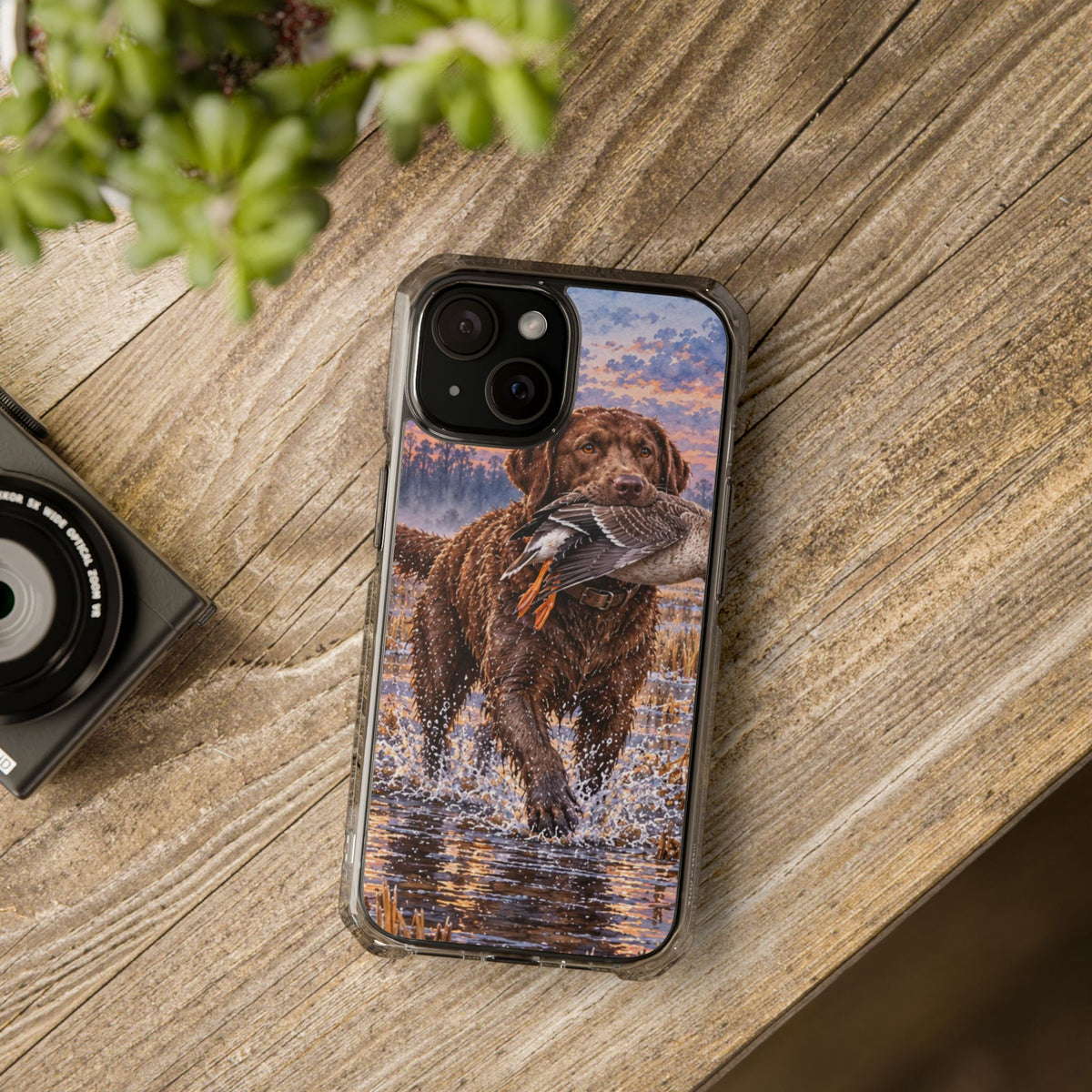 Clear Magnetic Phone Case — Chocolate Lab with Duck in swamp
