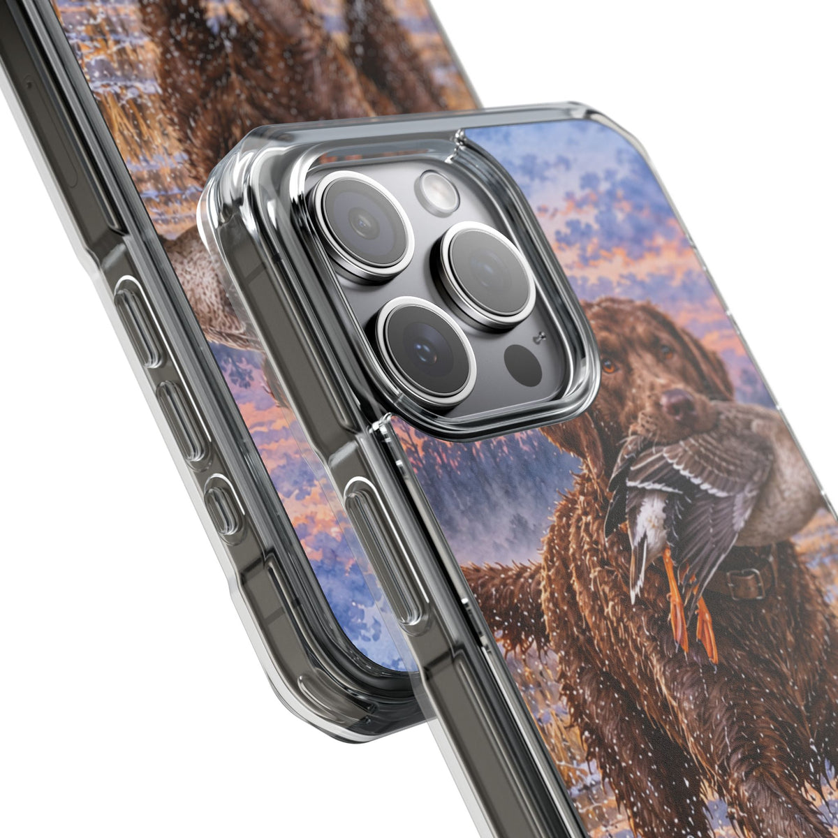 Clear Magnetic Phone Case — Chocolate Lab with Duck in swamp