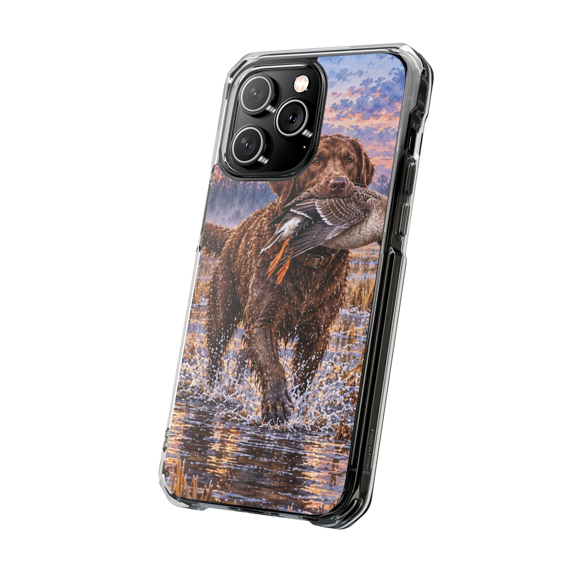 Clear Magnetic Phone Case — Chocolate Lab with Duck in swamp