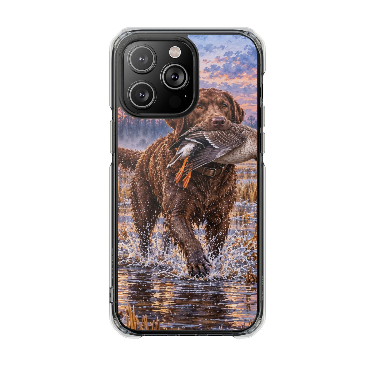 Clear Magnetic Phone Case — Chocolate Lab with Duck in swamp