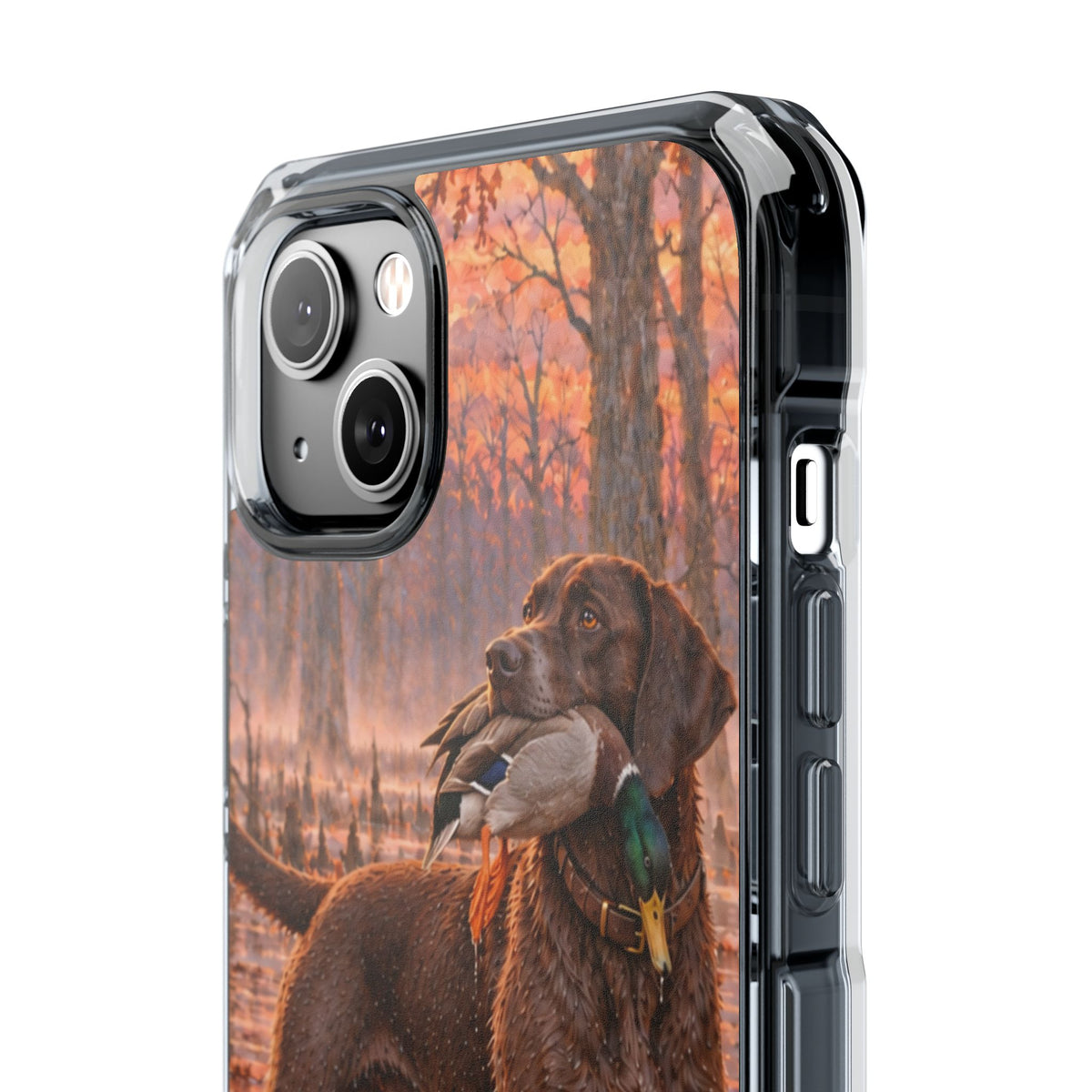 Clear Magnetic Phone Case — Chocolate Lab with Duck swamp