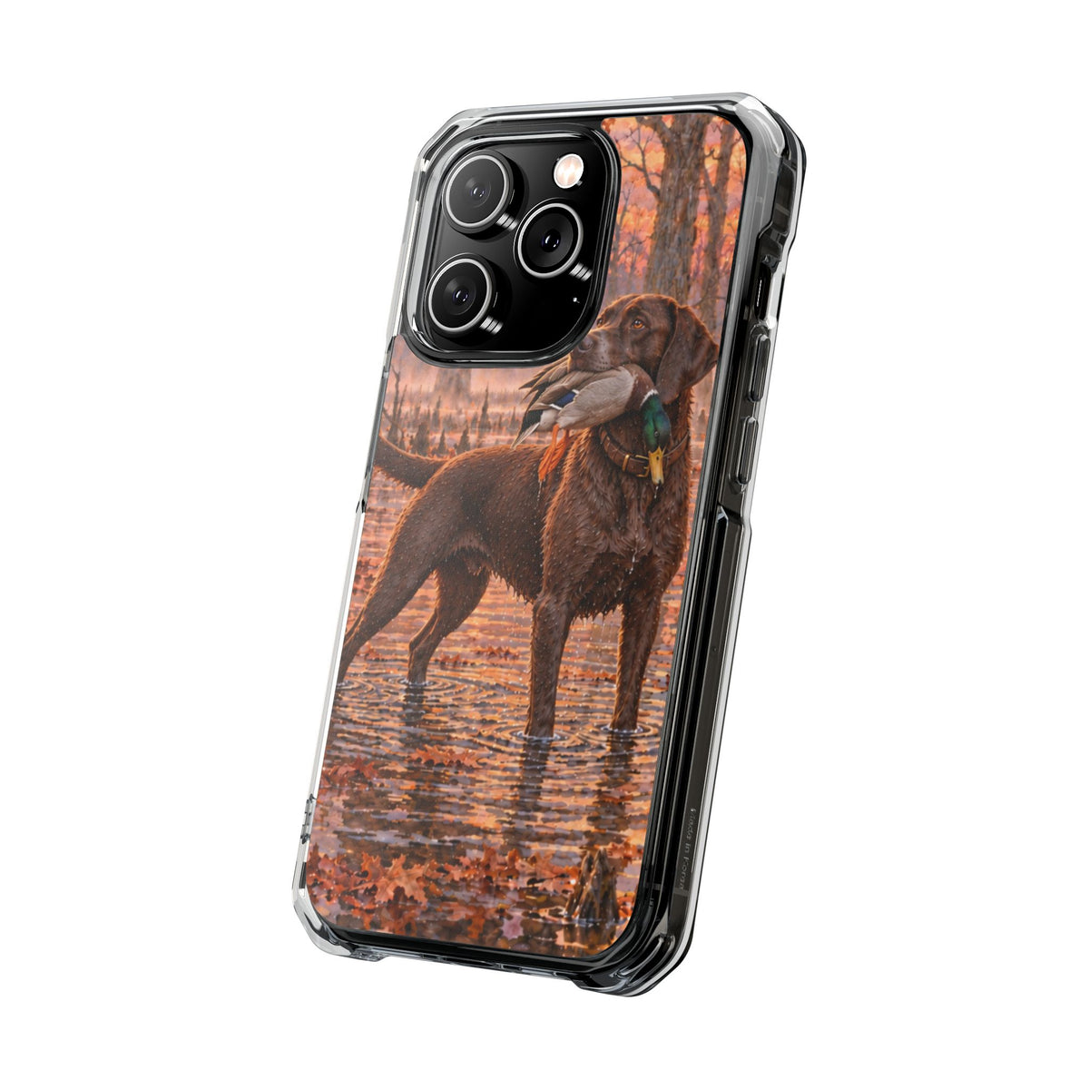 Clear Magnetic Phone Case — Chocolate Lab with Duck swamp