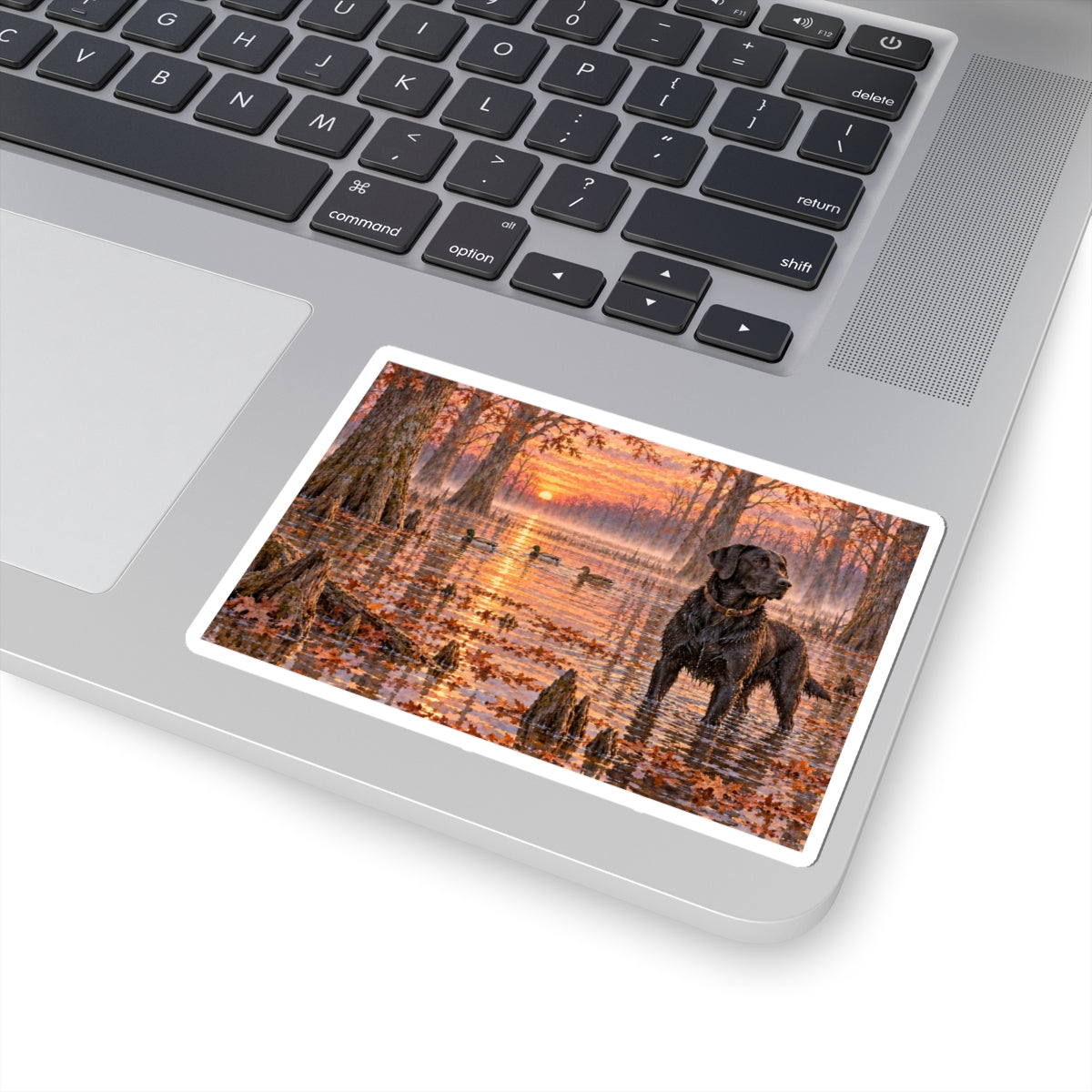 Black Lab in Cypress Swamp Sticker — Sunset Hunting Dog Kiss-Cut Decal