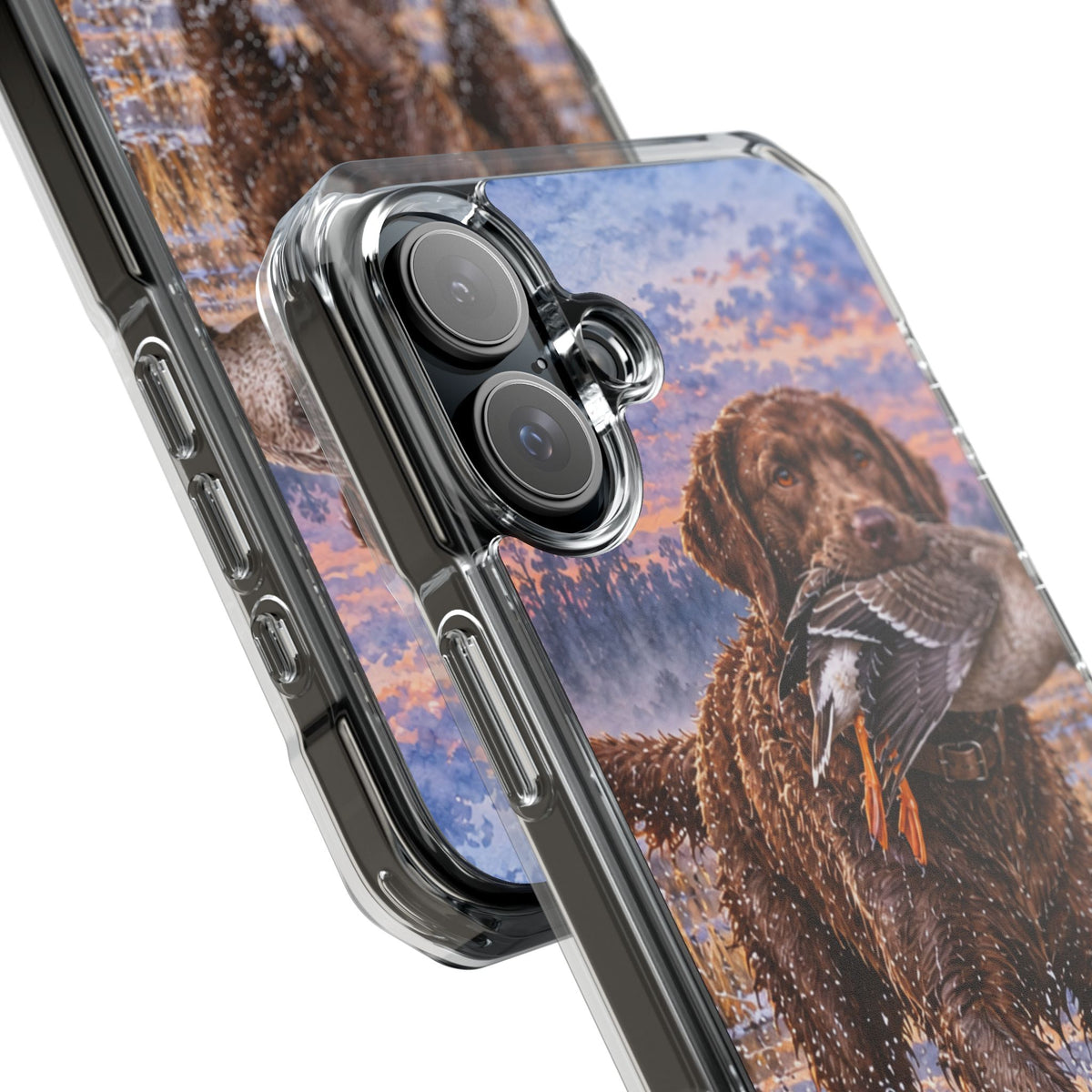 Clear Magnetic Phone Case — Chocolate Lab with Duck in swamp