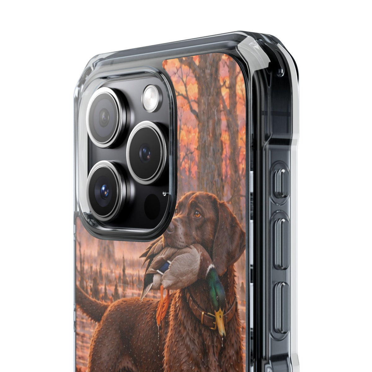 Clear Magnetic Phone Case — Chocolate Lab with Duck swamp