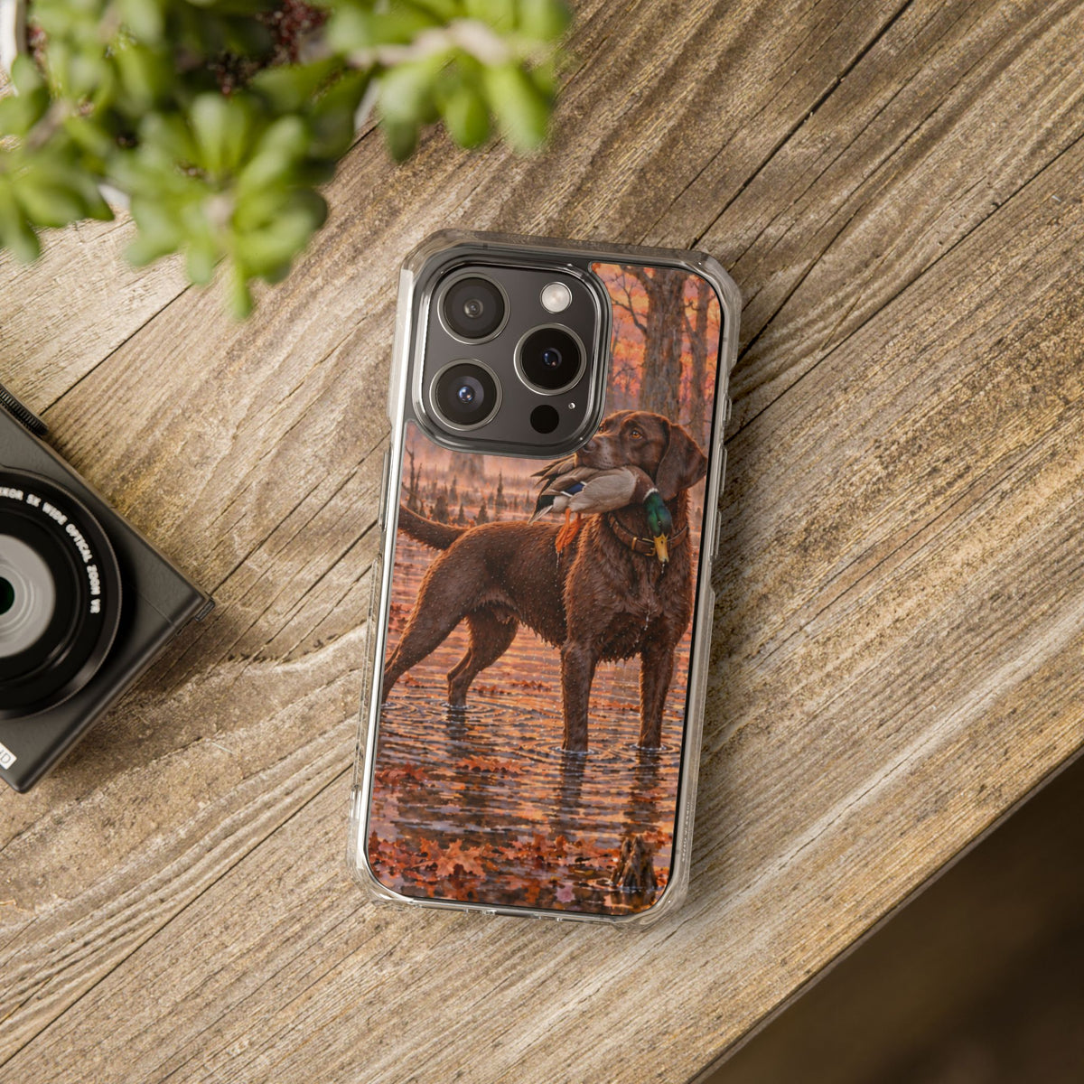 Clear Magnetic Phone Case — Chocolate Lab with Duck swamp