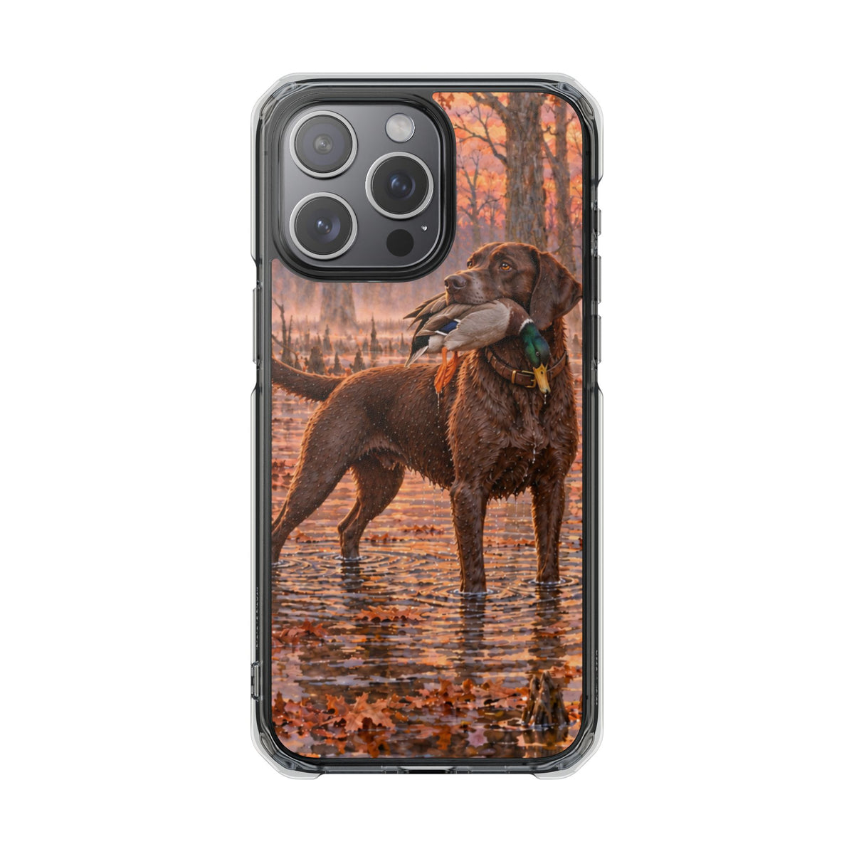 Clear Magnetic Phone Case — Chocolate Lab with Duck swamp